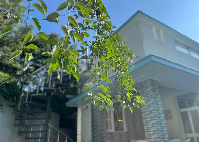 Arubhi Cottage Dehradun